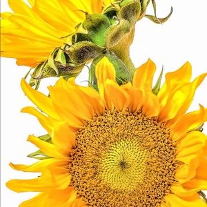 Meet your Posher, Katya